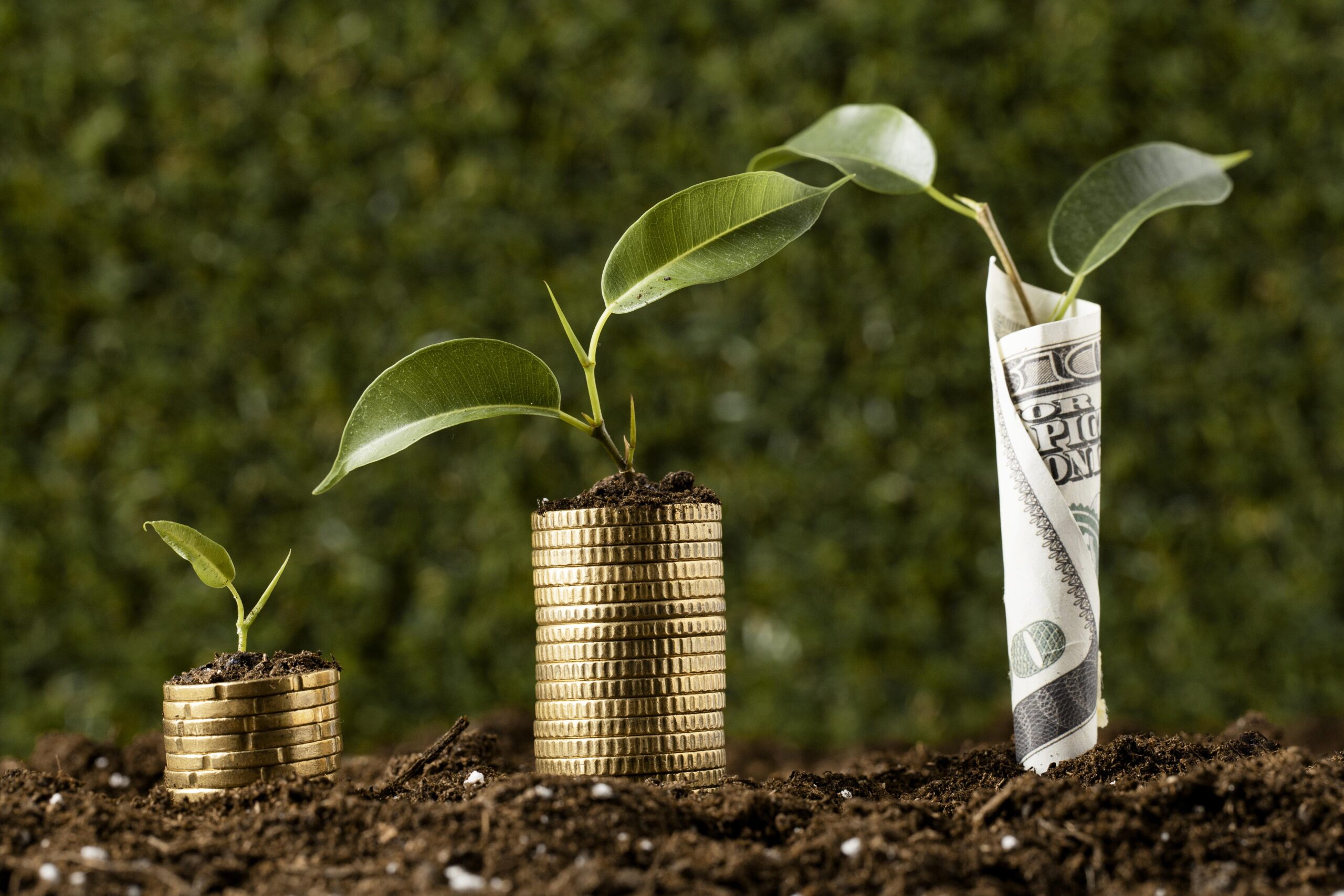 The Growth of Money Plant FX – The Power of the Sahm Rule and Harsh Agarwal Vision