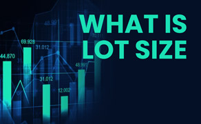 What is the Lot Size in IPO Investment?