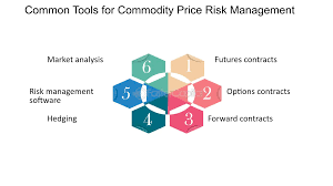 Everything You Need to Know About Commodity Price Risks